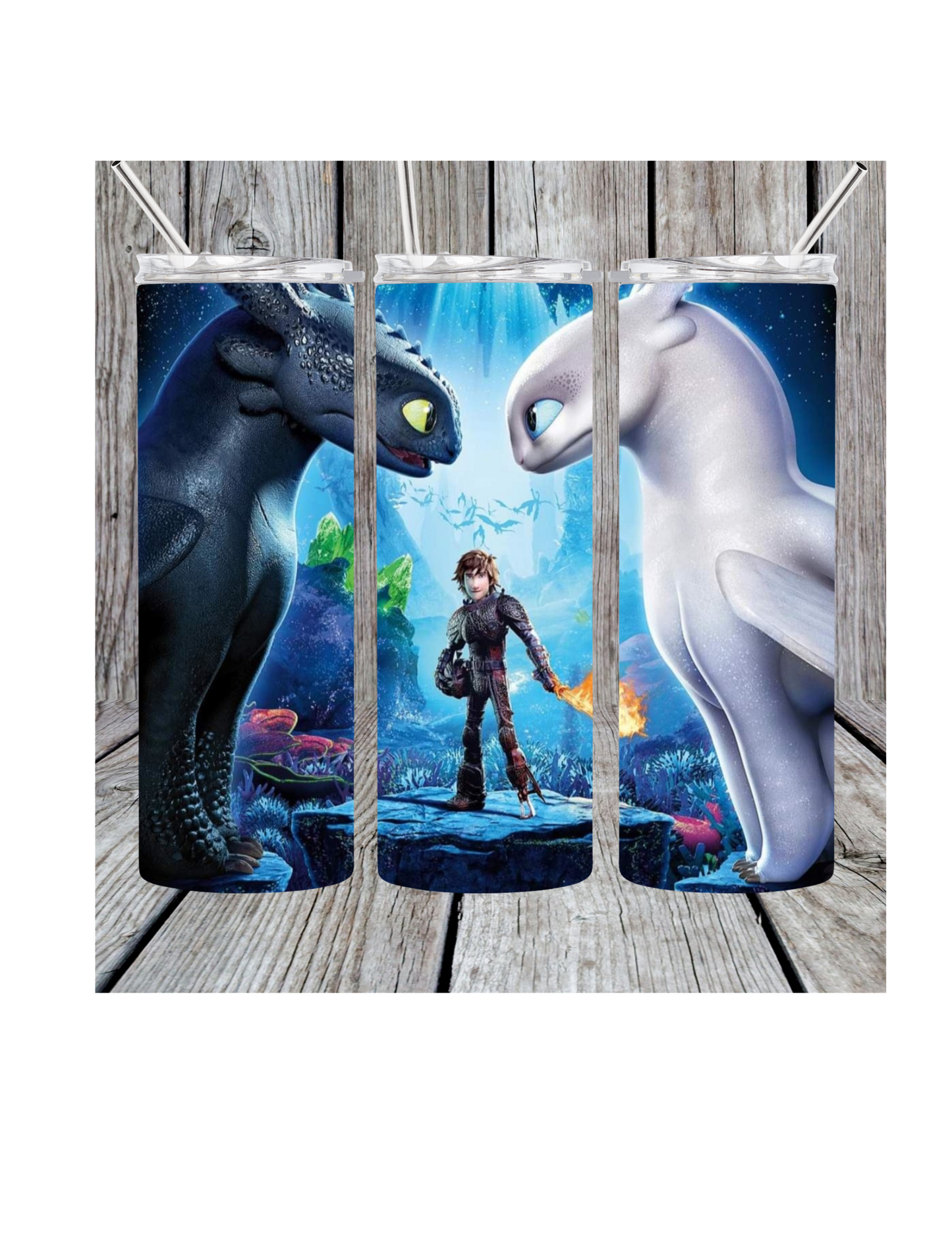 Dragon trainer tumbler