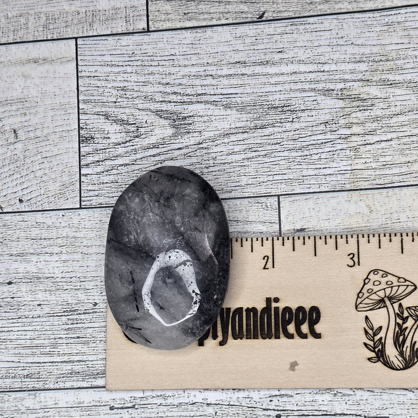 Tourmalined Quartz Crystal Palm stone