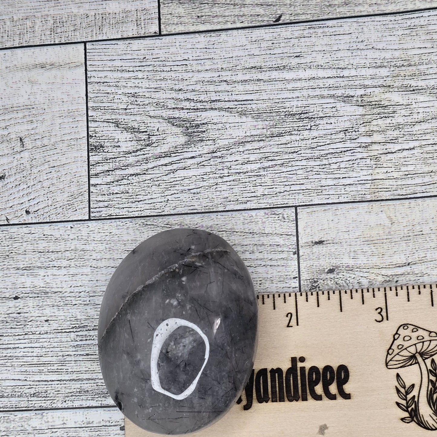 Tourmalined Quartz Crystal Palm stone