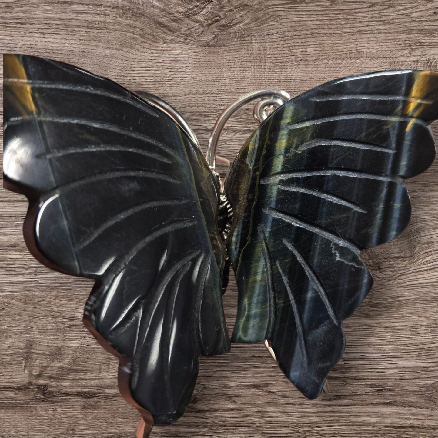 Blue tiger eye butterfly
