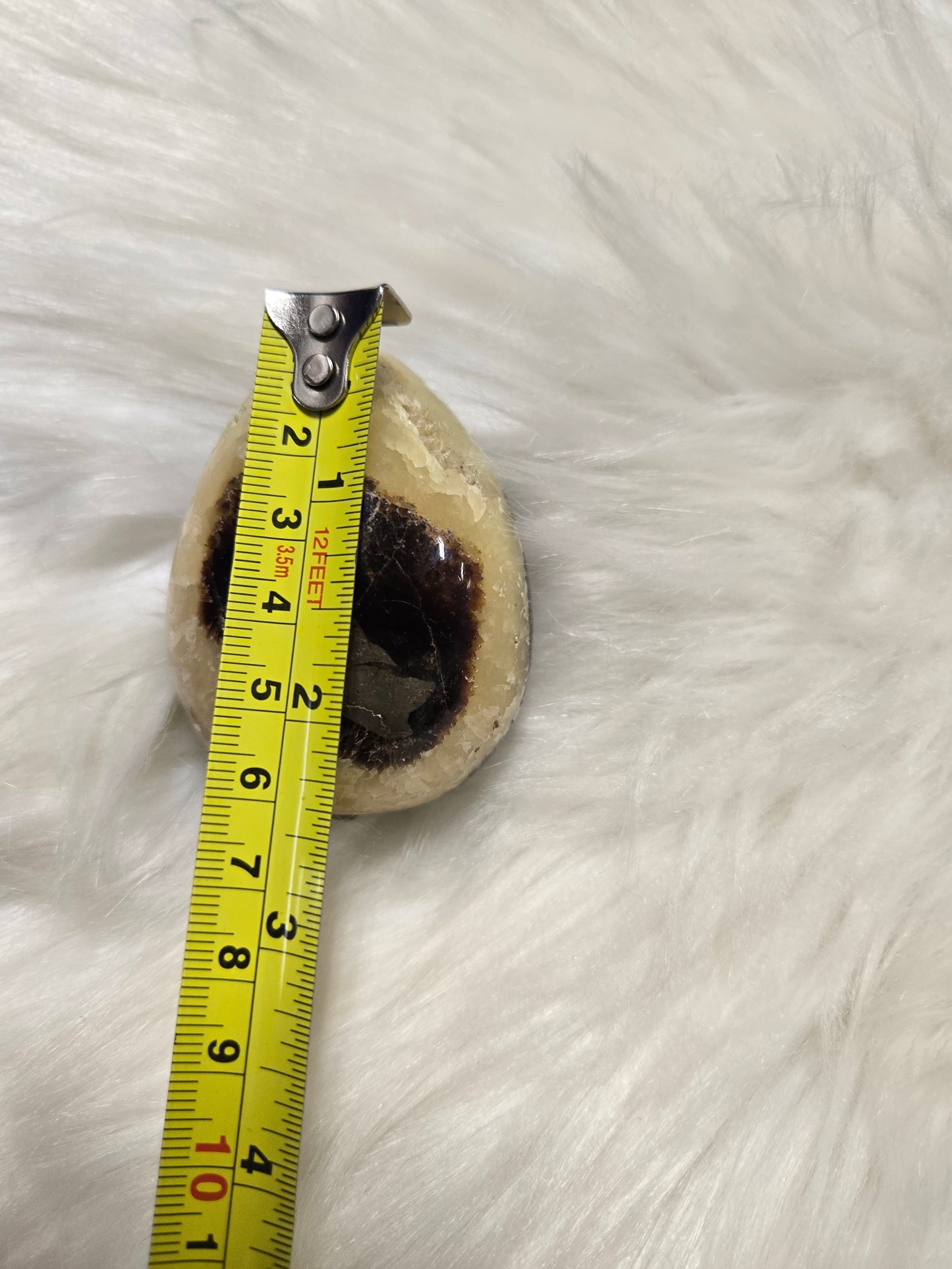 Septarian egg