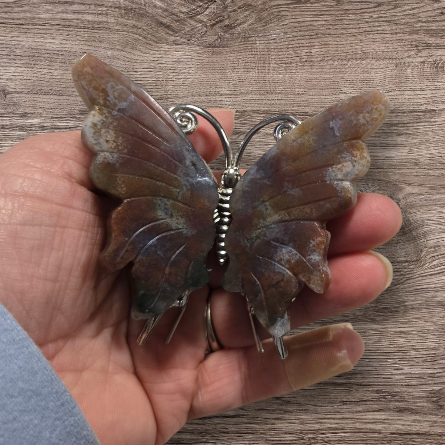 Ocean jasper butterfly