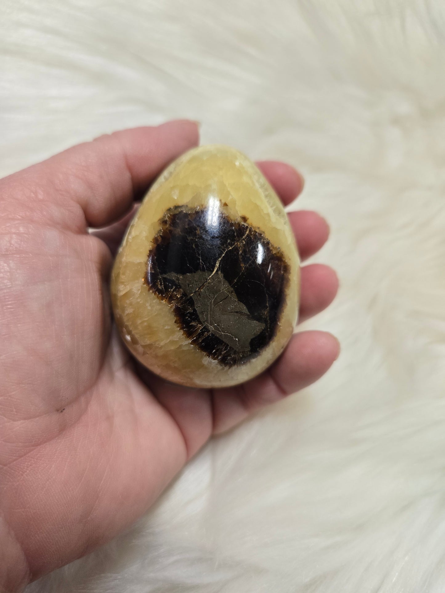 Septarian egg