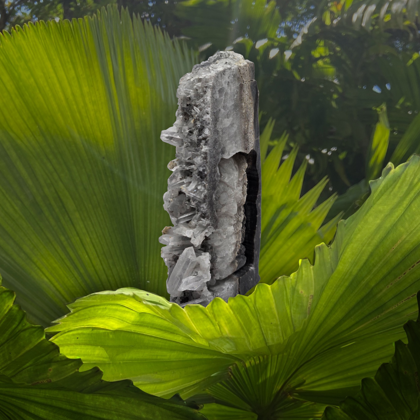 Quartz owl in matrix