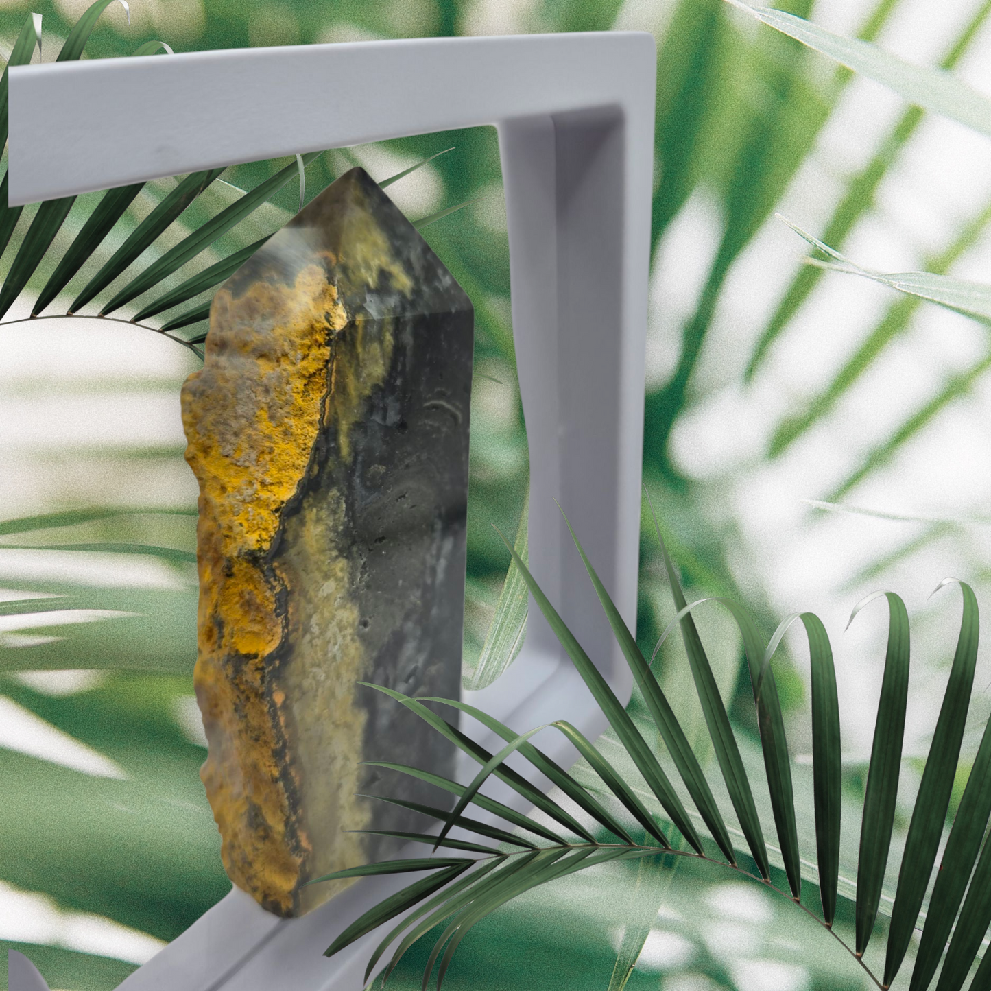 Bumblebee jasper point