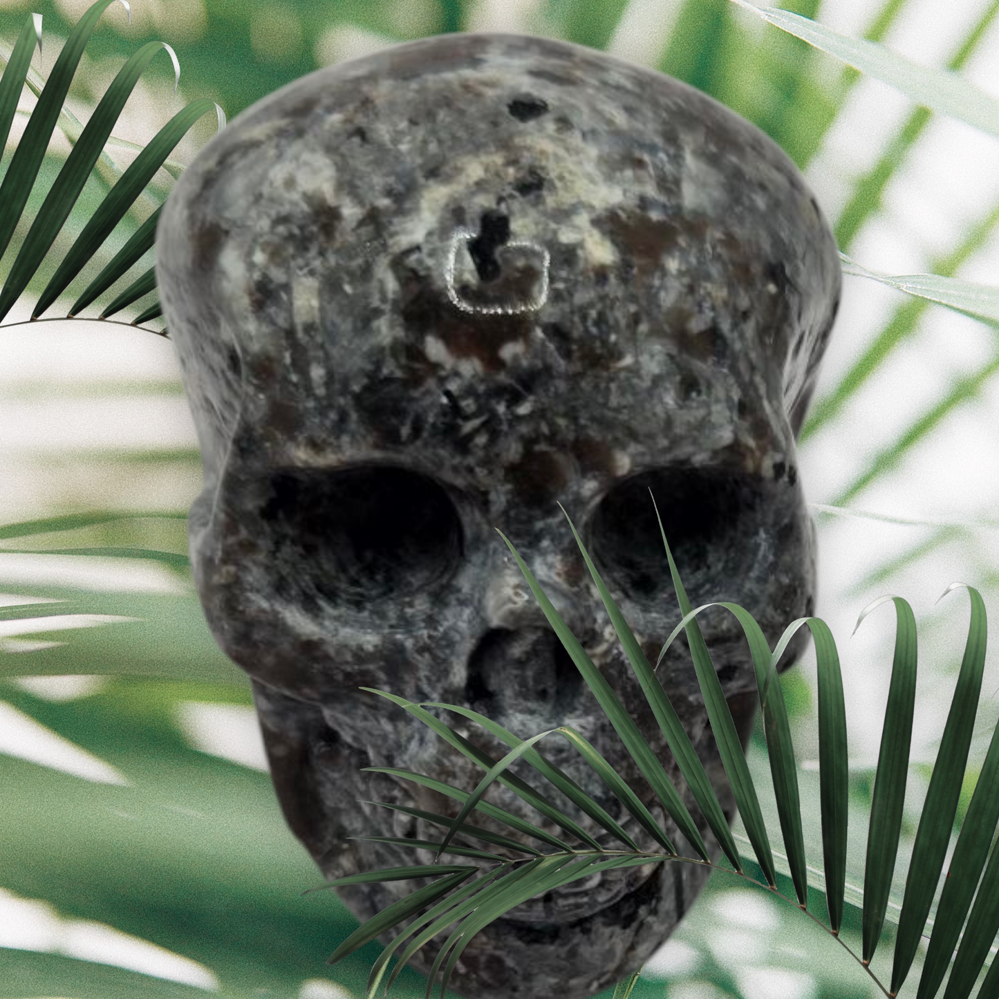 Yooperlite skull