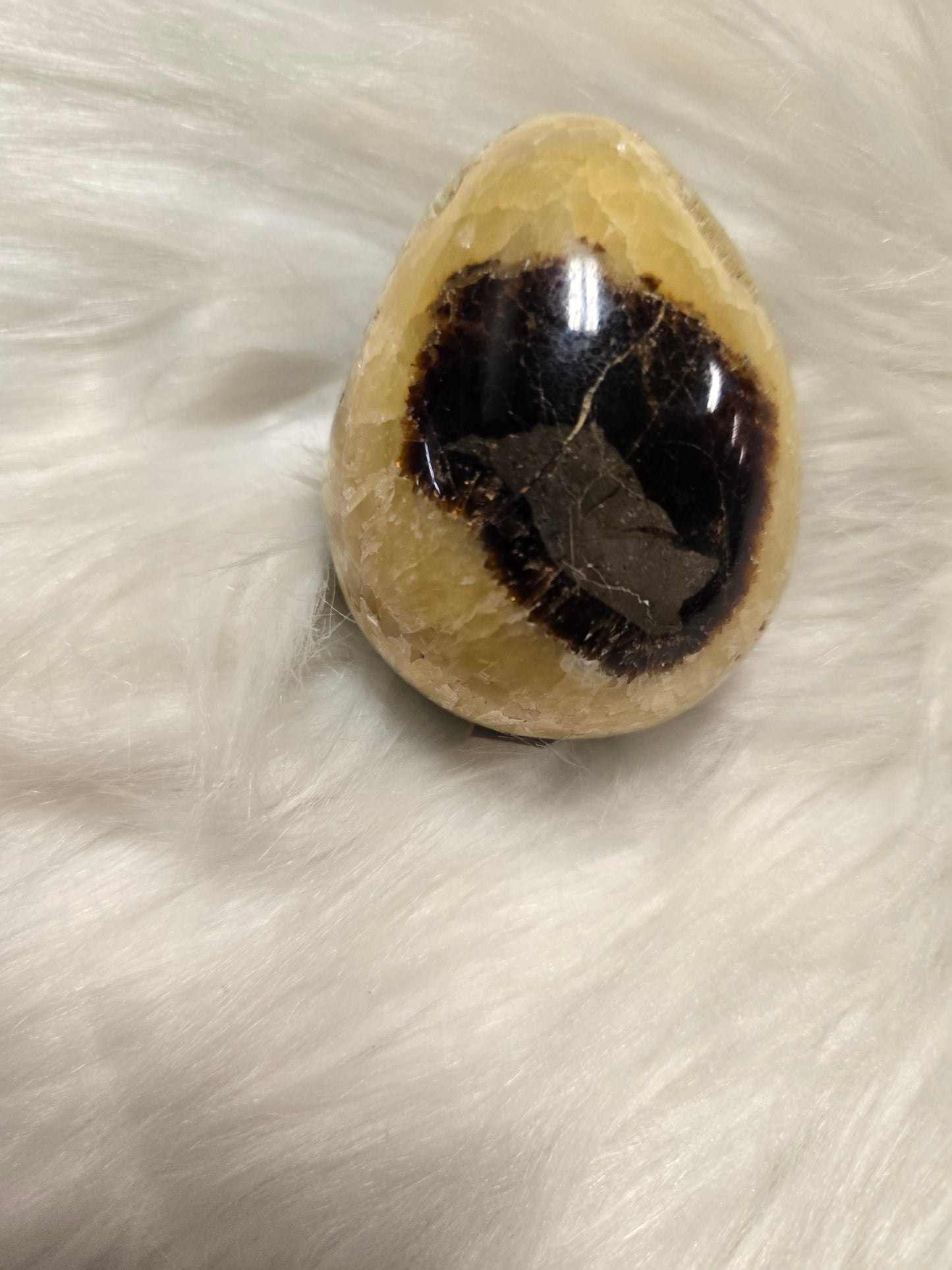 Septarian egg