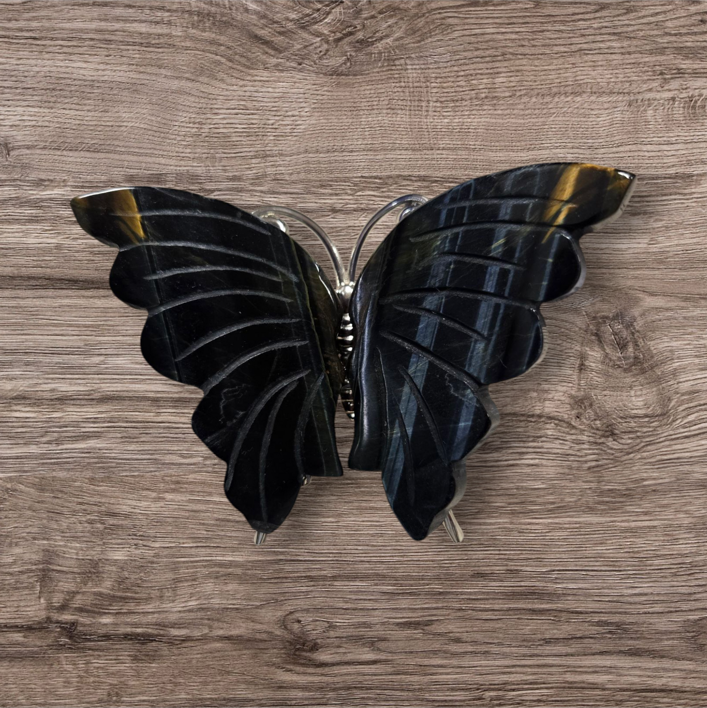 Blue tiger eye butterfly