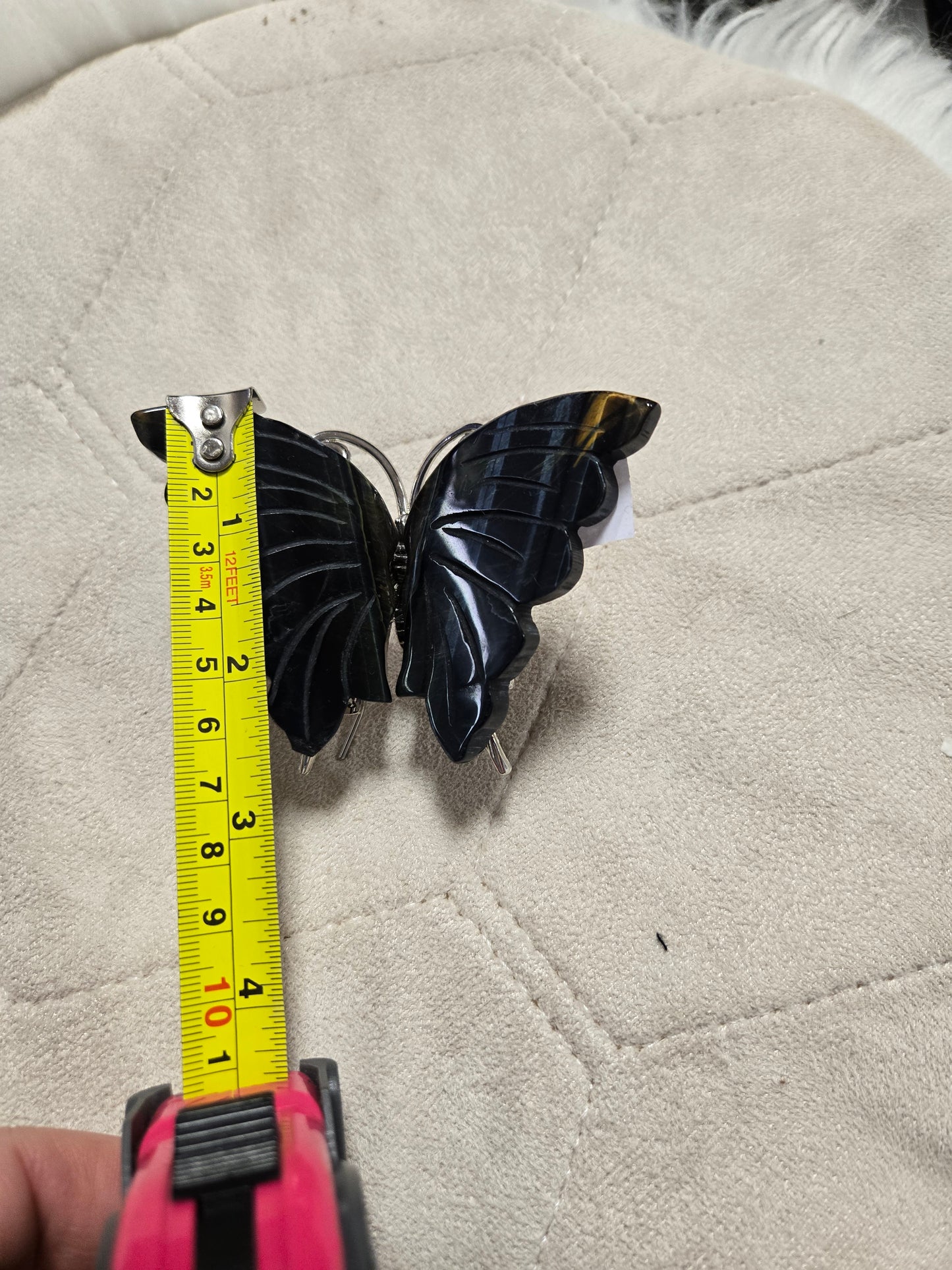 Blue tiger eye butterfly