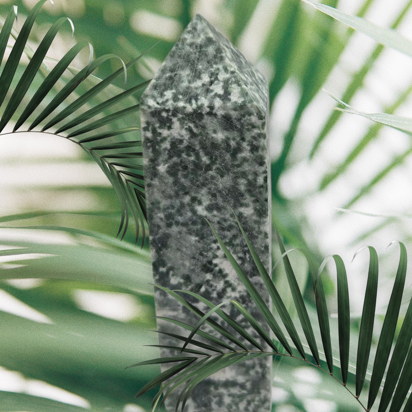 Tree agate point