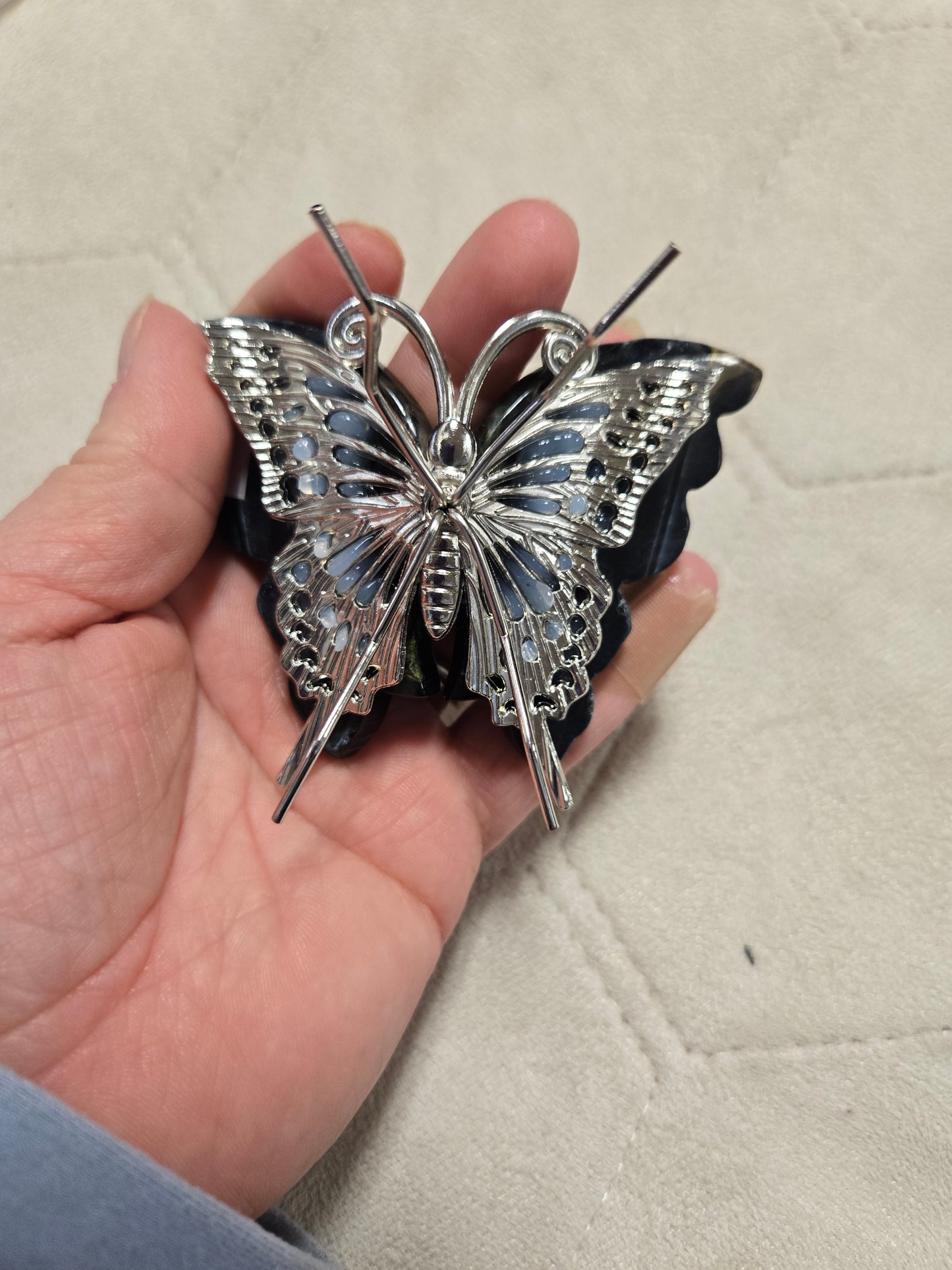 Blue tiger eye butterfly