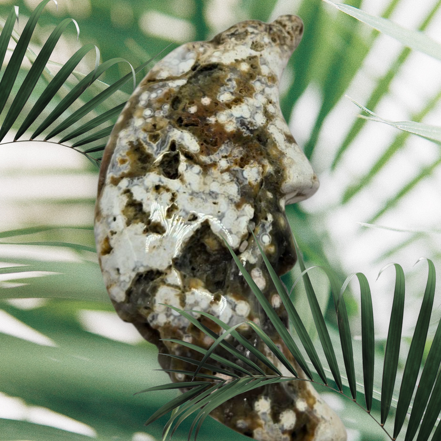 Ocean jasper moon