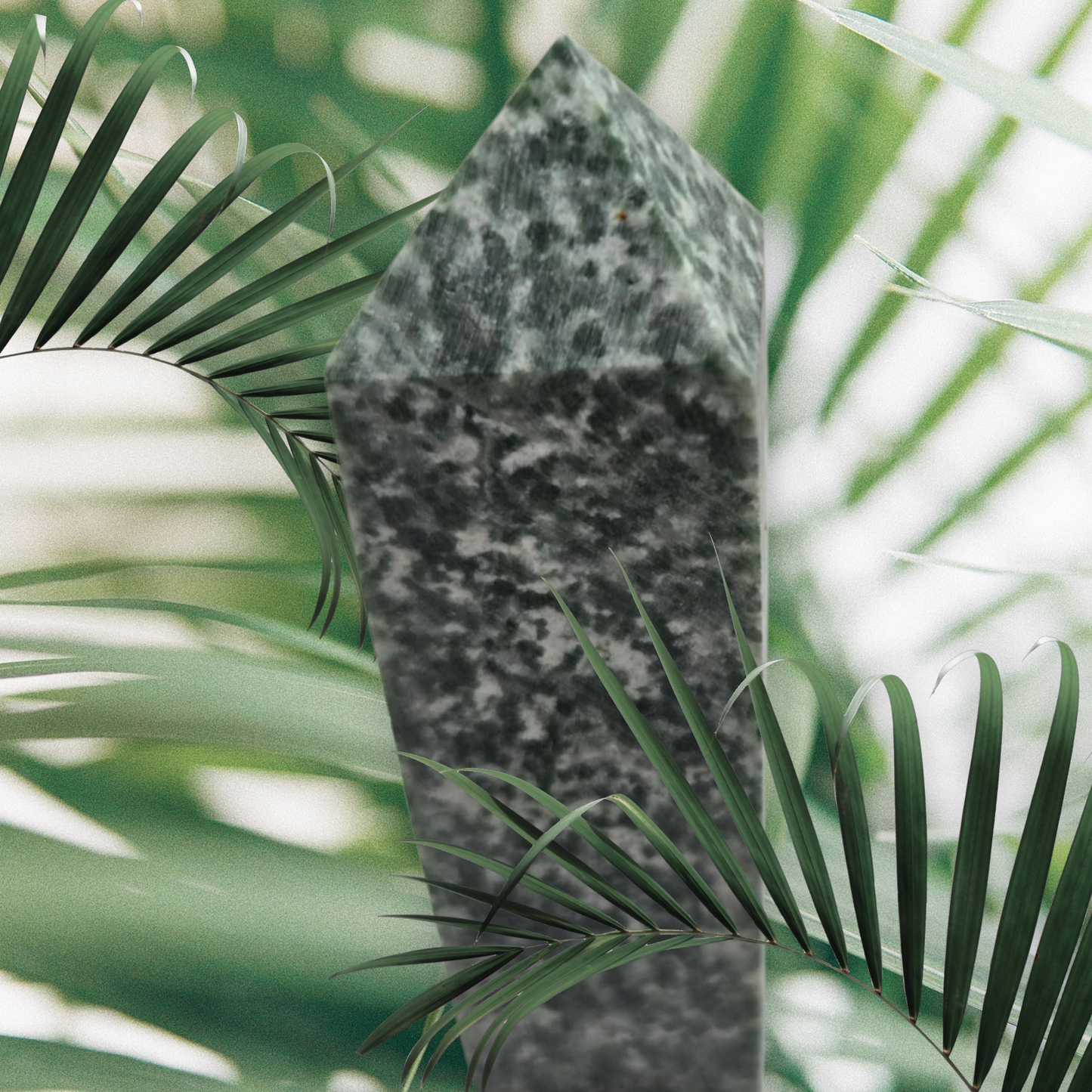 Tree agate point
