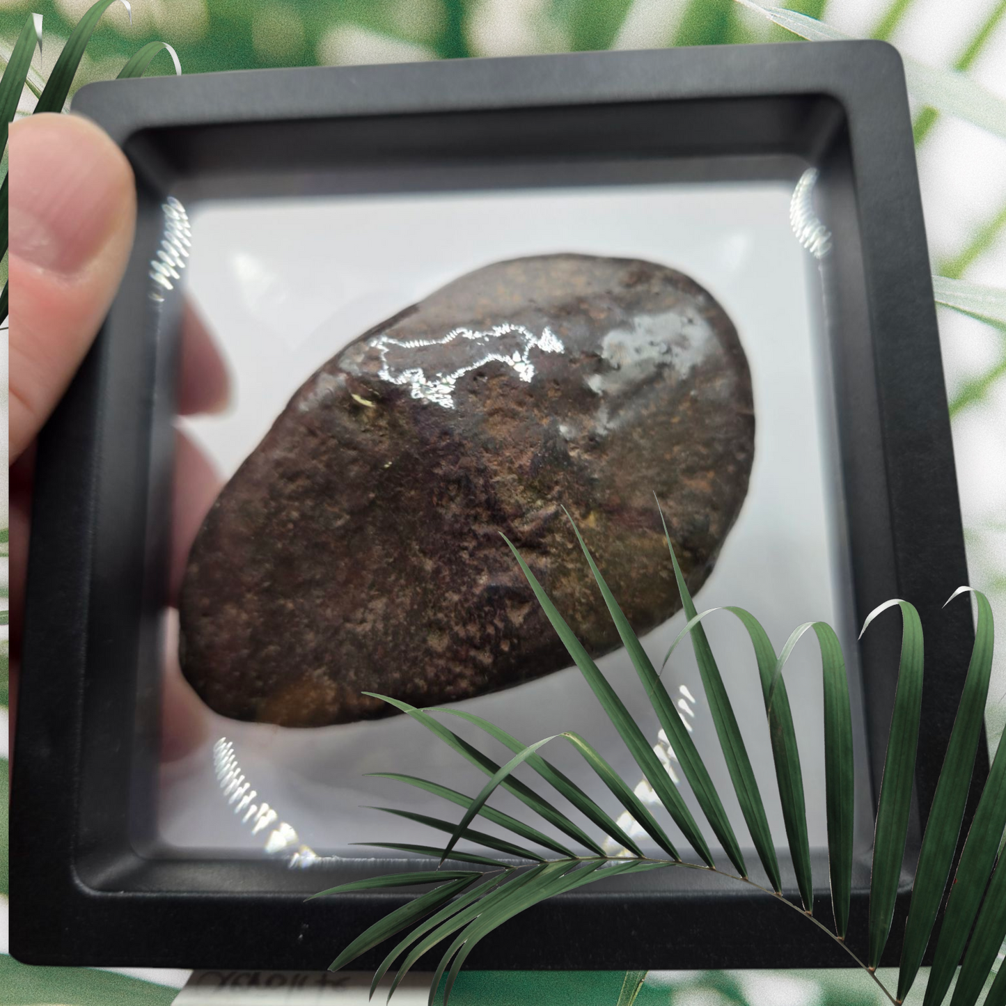 Aerolite metorite