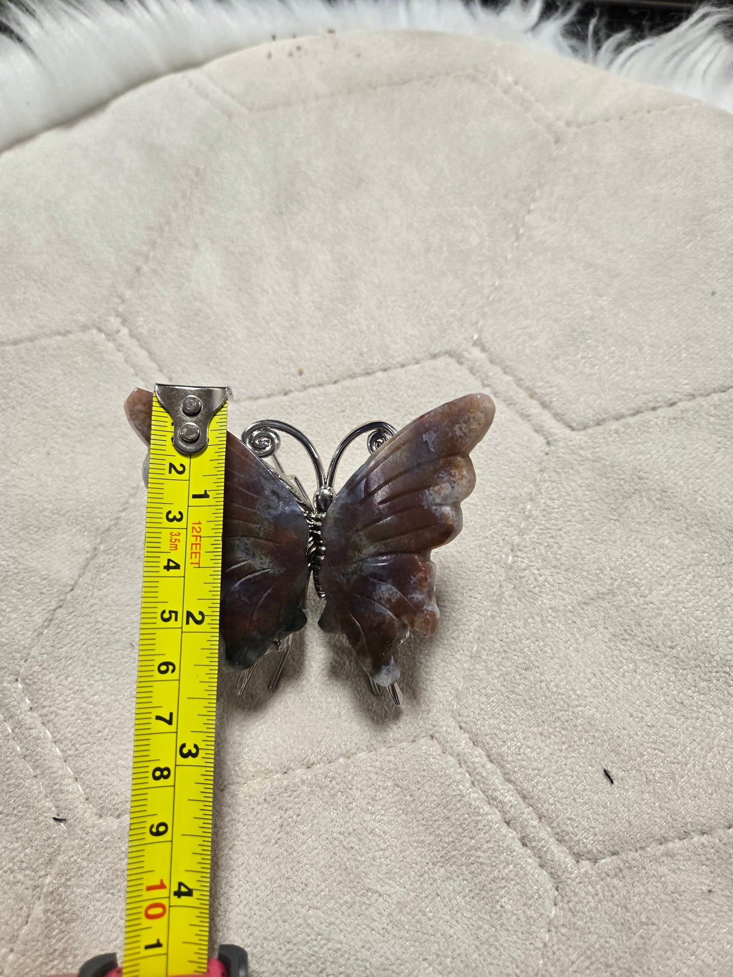 Ocean jasper butterfly