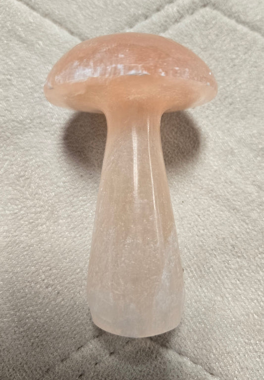Peach selenite mushroom