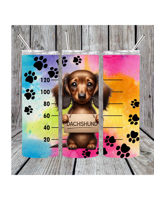 Colorful dachshund tumbler