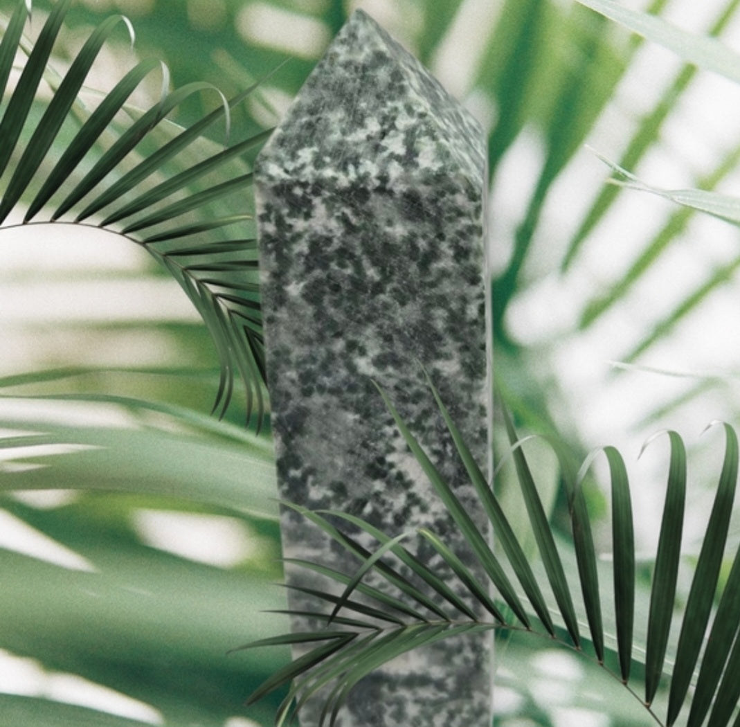 Tree agate point