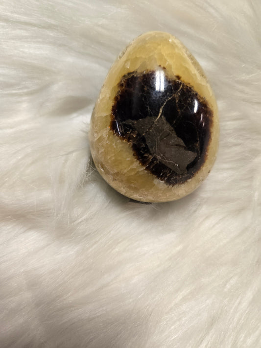 Septarian egg