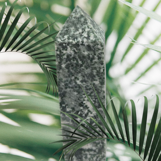 Tree agate point