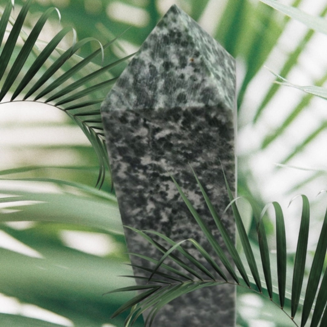Tree agate point
